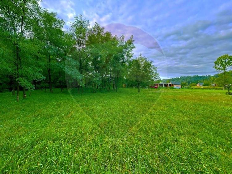 DE VANZARE: Teren ideal pentru dezvoltare turistica - 5