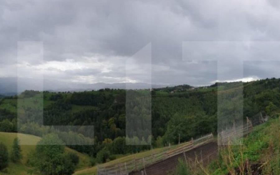 Teren 13.570 mp, Moieciu Pestera - 10