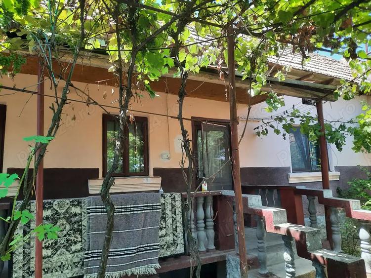 Casa cu teren de 5100 mp in orasul Babeni strada Romani - 6