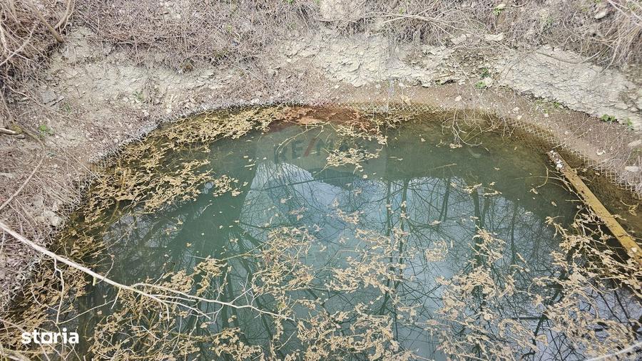 Teren 1,520mp Hangu / Strada Principala - 5