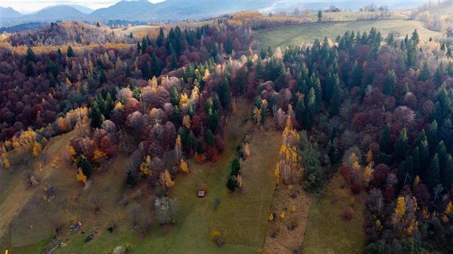 Lot intravilan apreciabil, 1.000 mp, Moieciu, panorama ampla, oportunitate rezid - 5