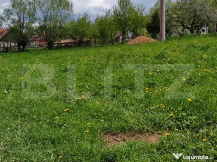 Teren intravilan, 1865 mp, de vanzare in Moieciu - Brasov - 6