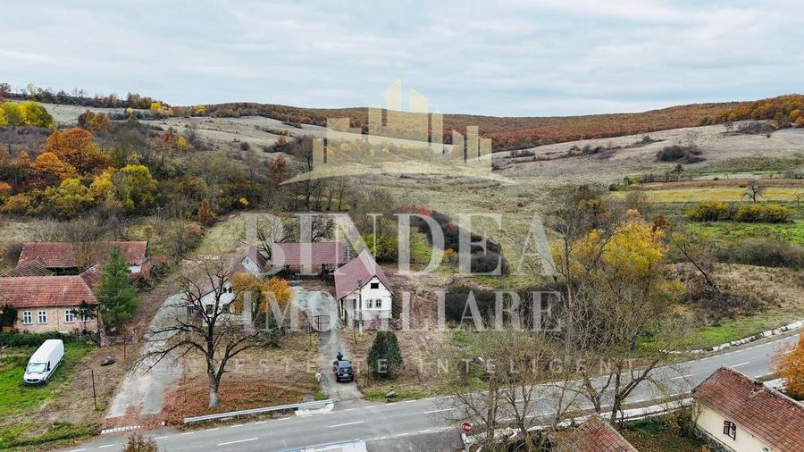 Oportunitate investitie: două reședințe de vacanță/ cabane 3940mp teren - 12