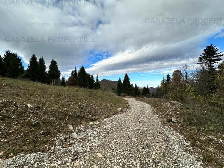 Teren in suprafata de 11 310  mp situat in Rasnov, Paraul Rece - 4