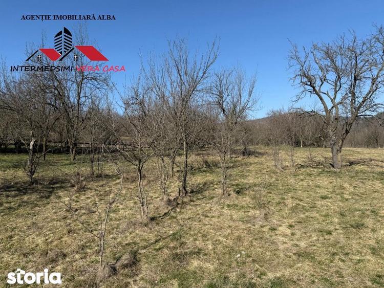 Casa si anexe cu un teren de 7701 mp de vanzare in Stauini Jud Alba - 15