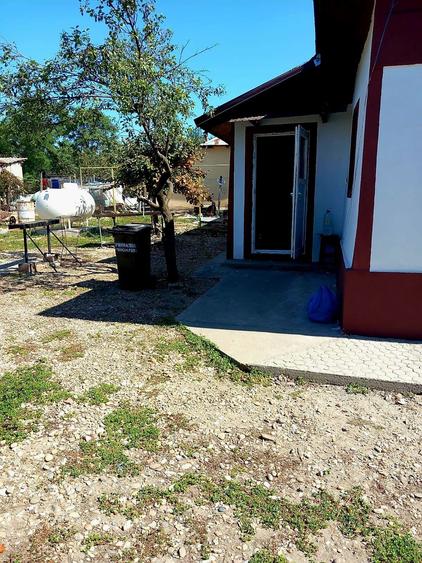 Casa spatioasa comuna Furculesti, judetul Teleorman - 7