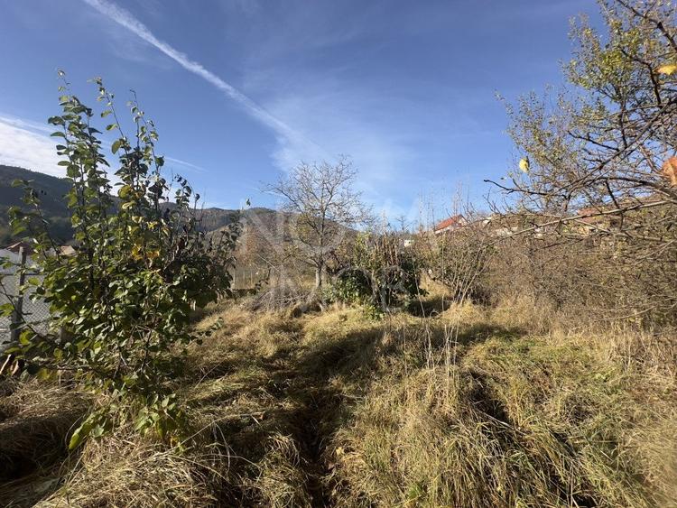 Casa individuala - Sat Vale, Saliste - 7