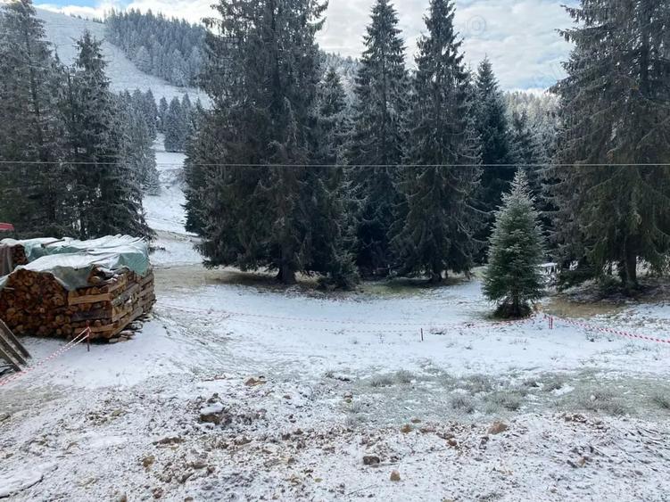 Teren de 250 mp, în Vârtop
