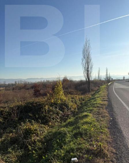 Teren de vanzare, Extravilan in Gurasada, 18532 MP - 2