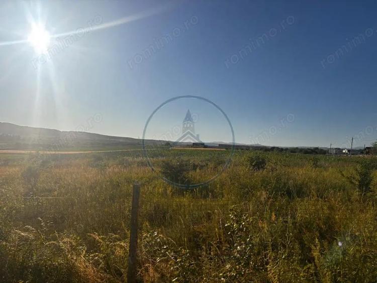 Teren Intravilan 5100 mp Sieu Magherus - 2