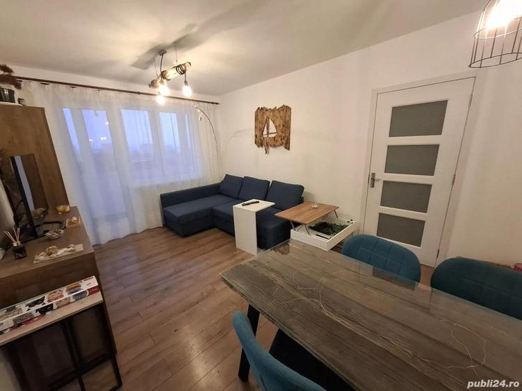 Cartier Sasar (zona str. V. Babes) ap. 2 camere, semidecomandat, cu balcon - 7