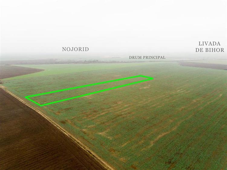 RECO Teren extravilan 5800 mp Livada de Bihor - 7