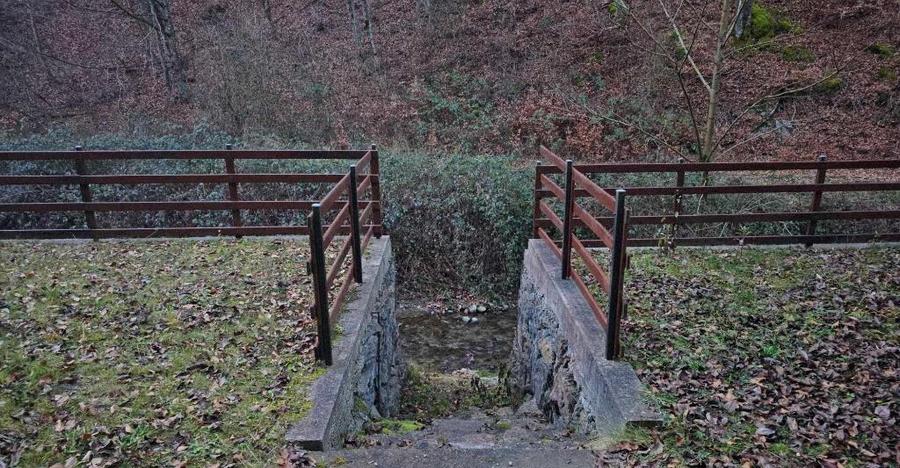 Casa/Pensiune,doua imobile intr-unul singur de vanzare, Valea Bratcu - 15