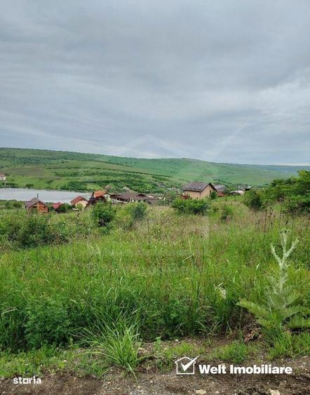 Teren de vanzare in Campenesti - 3