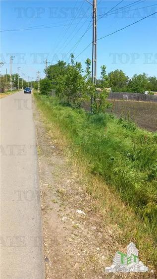 Teren Stanesti - Giurgiu, intravilan, drum asfaltat, gaz, curent - 2
