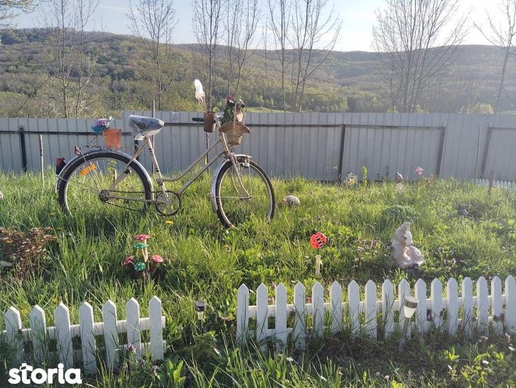 De vanzare casa ?i teren cu o suprafata de 13000 mp, 52.000 euro - 12