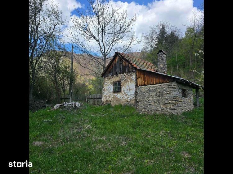 Teren de vis cauta proprietar. - 4