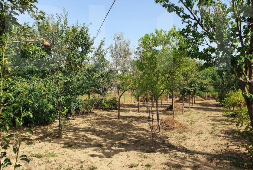 DE VANZARE Casa cu gradina mare in Lugoj - 3