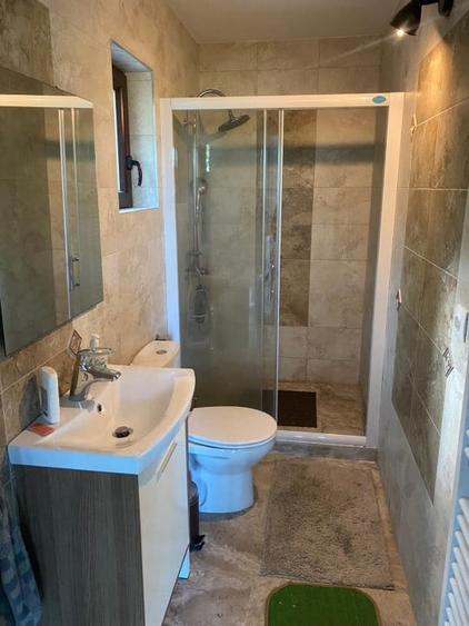 Casa de inchiriat 240mp utili, Zona Grigorescu - 16