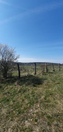 Herneacova-Loc de casa-vedere la lac- 980 mp/1074mp - 3