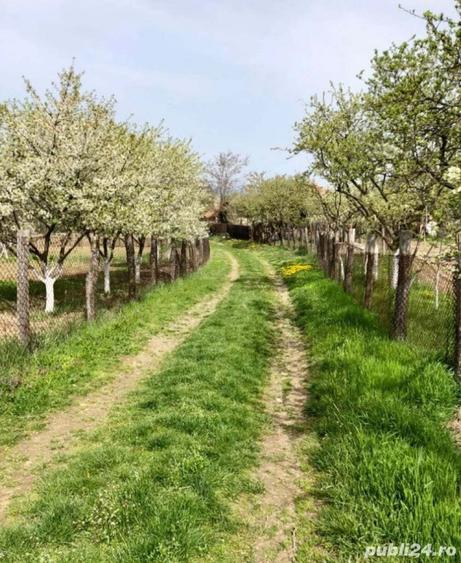 3700 mp Budesti-Piscul Pietrei - 7