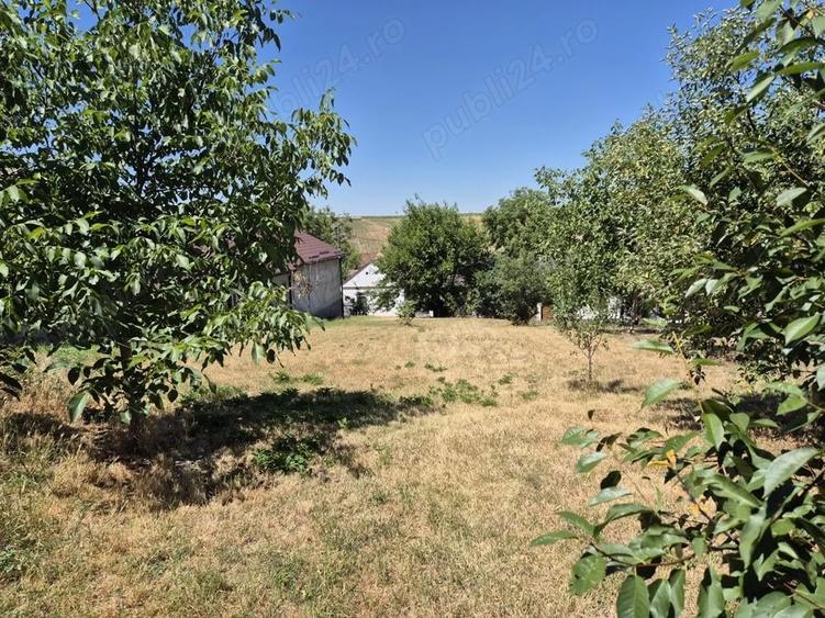 Casa saseasca de vanzare Zabrani, Arad - 1