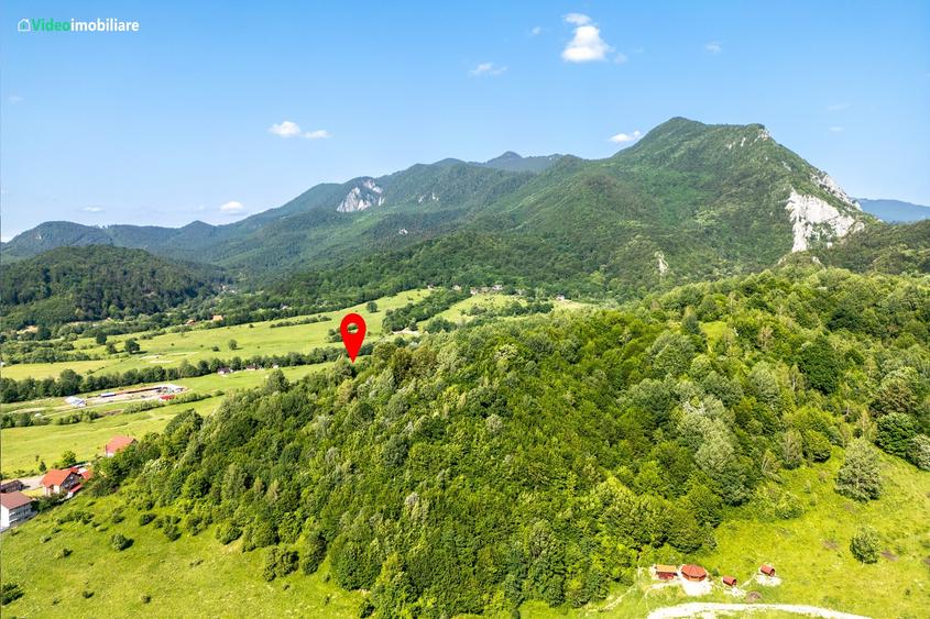 Teren cu vedere superba spre Cheile Rasnoavei, 8800 mp, la marginea pădurii - 6