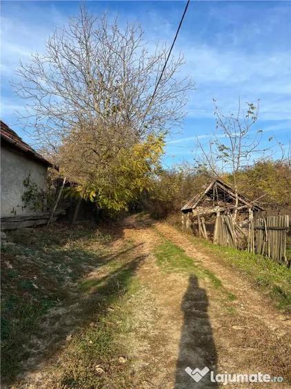 Reco Casa 3 camere si teren 2600mp in Burzuc - 5