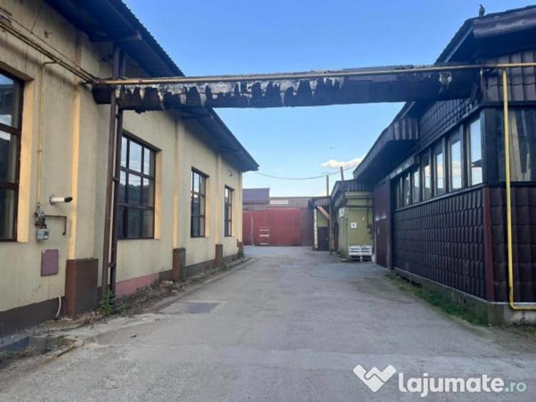 Inchiriez hale productie si birouri in Baia Mare Sud - 9
