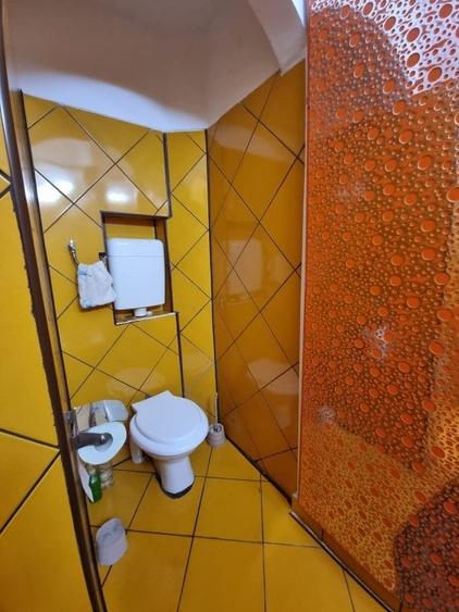 Vilă individuală - Vasile Lascăr - Dacia - 255mp utili - 34