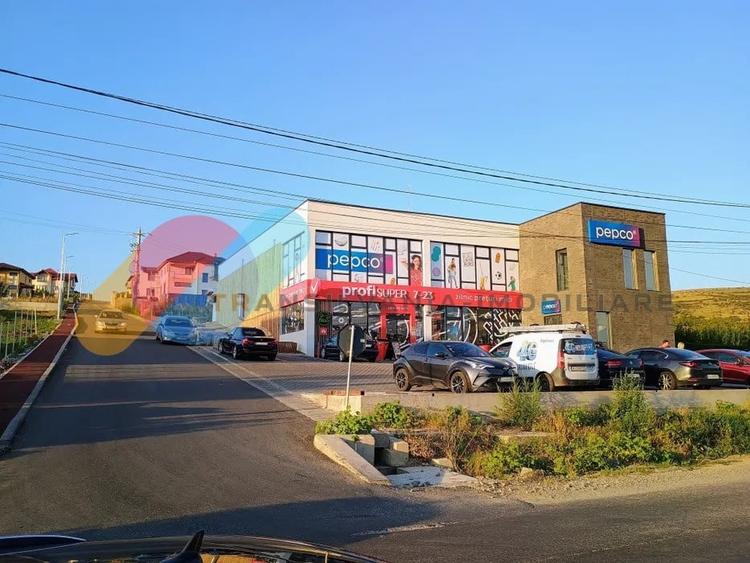 Teren 600 mp de vanzare  Chinteni cu Puz si utilitati - 4