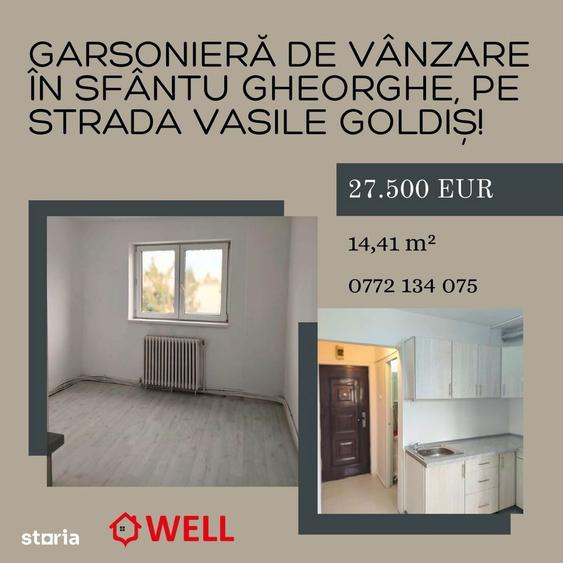 Garsoniera de vanzare in Sfantu Gheorghe, pe strada Vasile Goldi?! - 7
