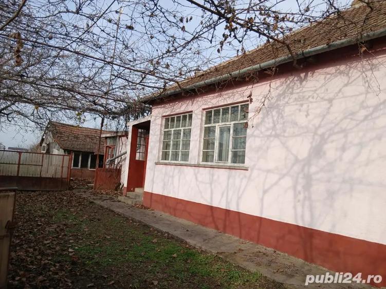 Casa de Vanzare Gepiu - 3