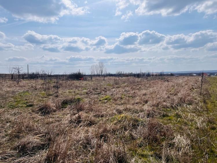 Teren intravilan, 2 parcele, 815 mp, utilitati, Preajba - zona Smart Pub - 2