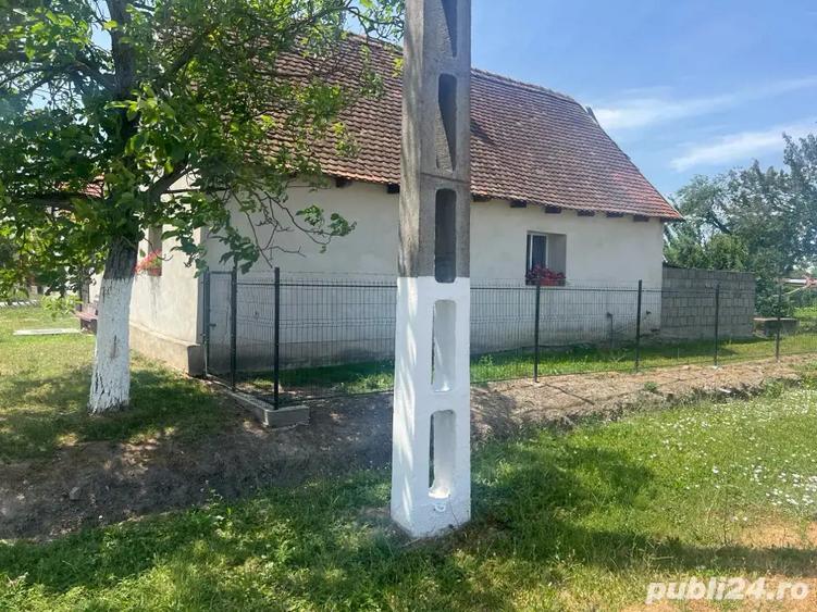 vand casa la tara - 2