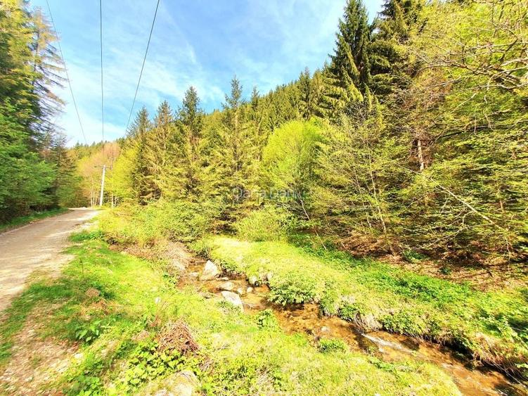 Teren 4176 mp pe Malul Râului - Șanta, Sibiu