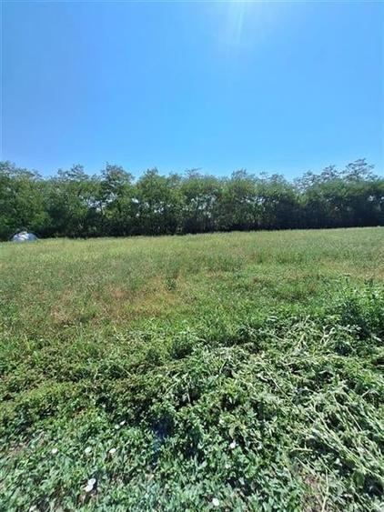 TEREN INTRAVILAM DE VANZARE IN BORZESTI - ONESTI - 1