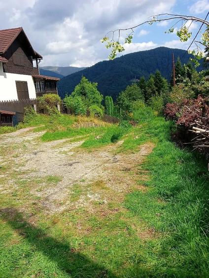 Vand 2 terenuri Sinaia ,939mp - 7