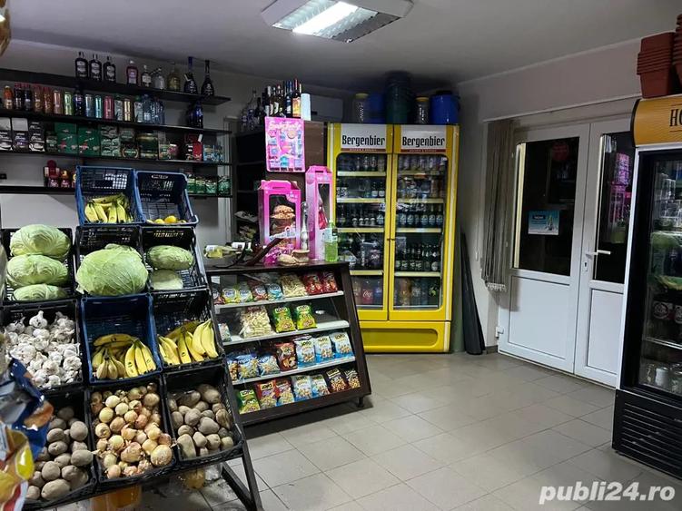 PROPRIETAR, Vand casa + 1800 mp teren + afacere la cheie - 6