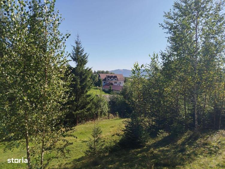 Pensiune + ferma piscicola (sturion/caviar) | Saru Dornei/Sarisor - 9