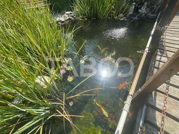 Vila singur in curte 453 mp utili si curte 528 mp in Avrig - 18