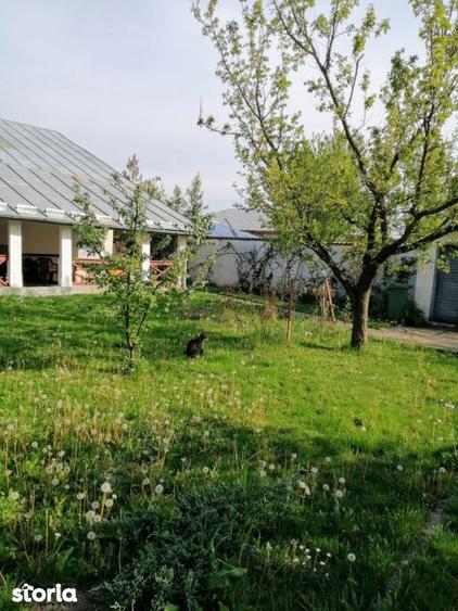 Casa 3 camere 100 mp | teren 937 mp | Vladeni central | mansarda |mobi - 3