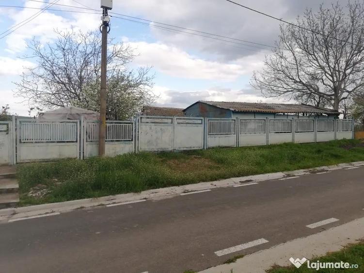 Casa de vanzare balabancea,tulcea - 12