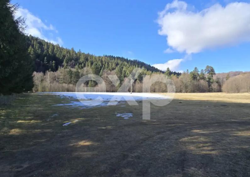 Teren extravilan 19.200 mp DN1A Sacele, Bradet | Front - 3