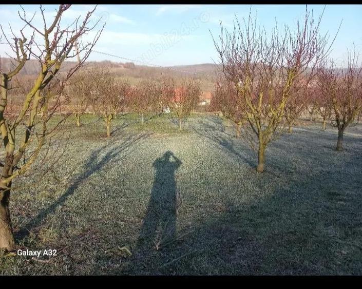 Casa in zona rustica cu aer aeristocrat - 2