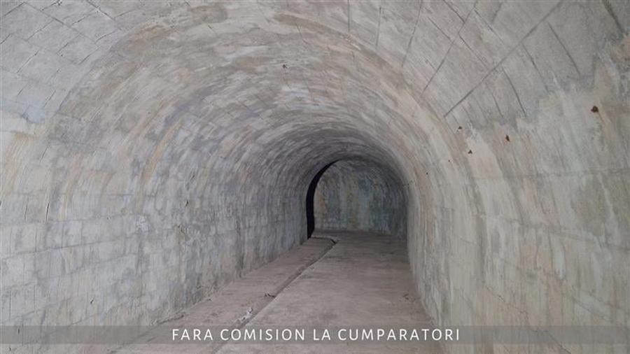 OPORTUNITATE UNICA IN DOMENIUL VITICOL - 10