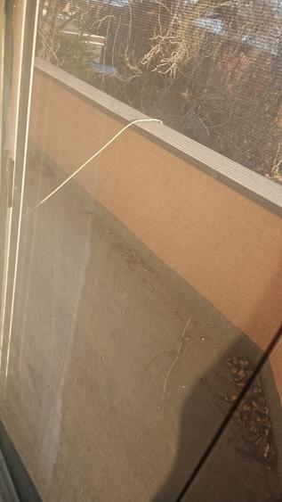 VANZARE CASA VILA - 11