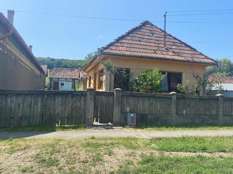 Casa de vanzare cu teren in Cinta - 7