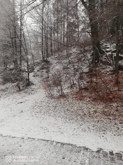 Teren intravilan situat in Busteni - 8