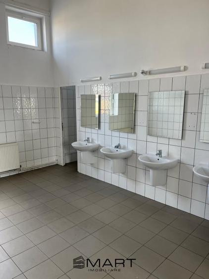 Spatii de inchiriat &acirc; Depozitare | Productie | Birouri Cisnadie - 9